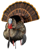 Avian X HDR Strutter Turkey Decoy
